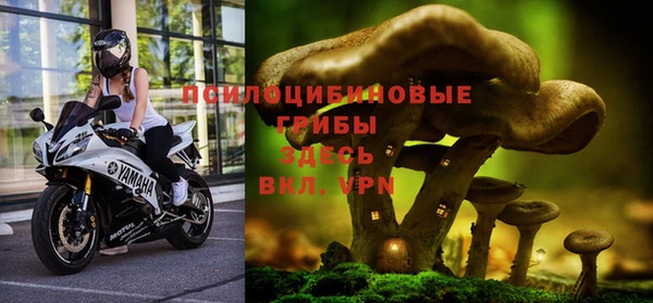 бошки Баксан